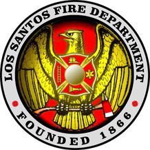 LSFD Logo